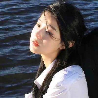 鲨与鲸